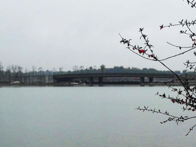 Wobo Bridge in Xinchuan Heartbeat Central Park (West Park) basically completed